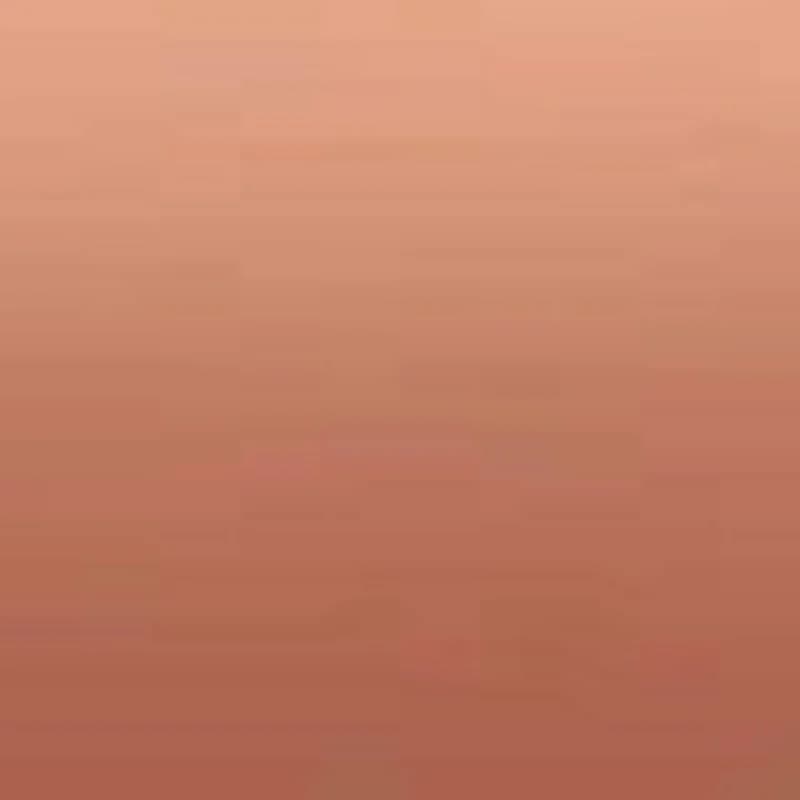 رژگونه پودری شیگلم مدل Matte Blush رنگ Seduction — تصویر ۲