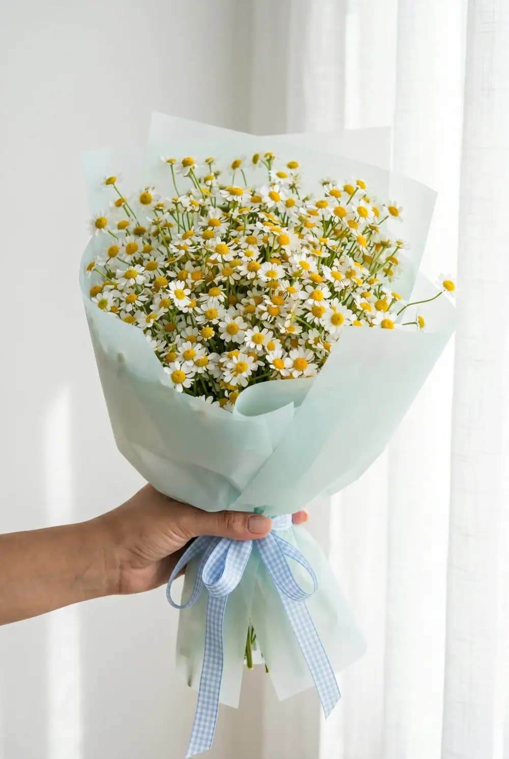 دسته گل بابونه کد 3061 – بلورا