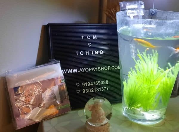کیسه شستشوی لباس چیبو آلمان مدل 375710 بسته 2 عددی