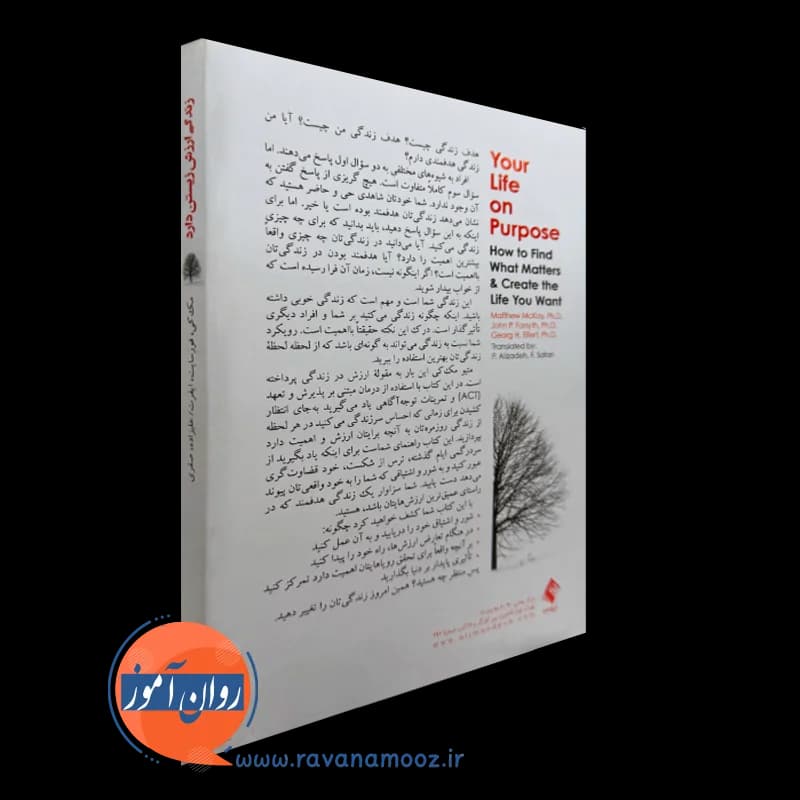 زندگی ارزش زیستن دارد متیو مک‌ کی – ترجمه پرویز علیزاده — تصویر ۳