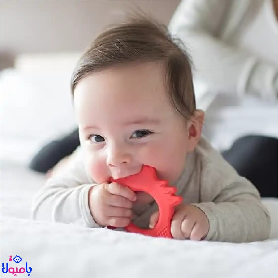 دندانگیر سیلیکونی کودک دکتر براونز مدل روباه — تصویر ۳