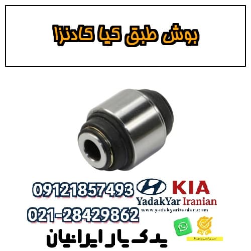 بوش طبق کیا کادنزا — تصویر ۲
