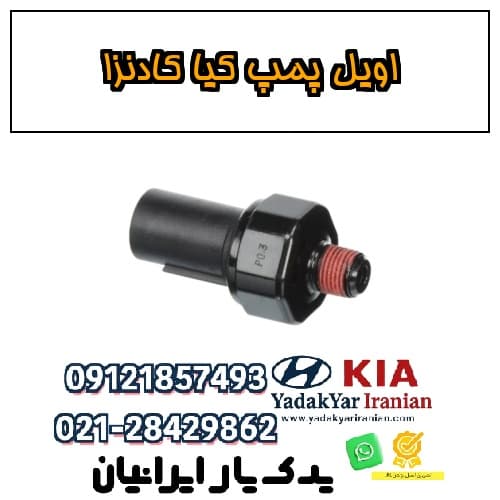 اویل پمپ کیا کادنزا — تصویر ۲