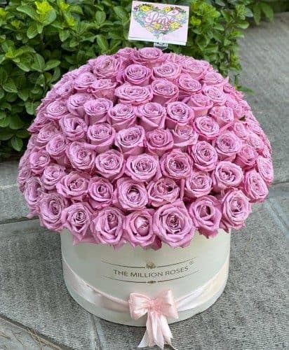 رز لب صورتی (جومیلیا) برای مراسم‌های عاشقانه چقدر است؟