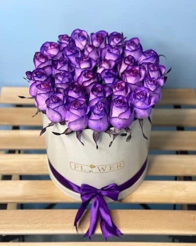 رز لب صورتی (جومیلیا) برای جشن تولد چقدر است؟