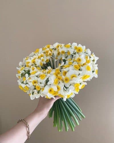 از کجا میتوانم گل نرگس برای سبد گل آنلاین در تهران بخرم؟