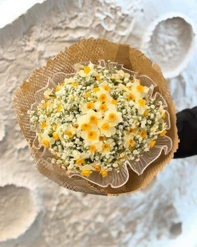 از کجا می‌توانم گل نرگس شاخه بریده به صورت عمده خریداری کنم؟