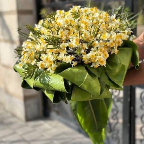 از کجا میتوانم گل نرگس برای سبد گل به صورت اینترنتی در کرج پیدا کنم؟