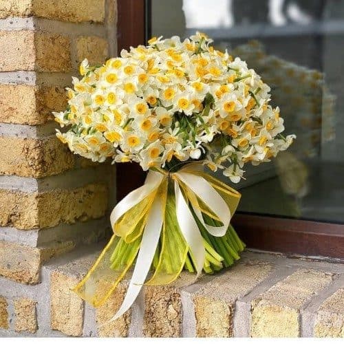 چه قیمتی گل نرگس در گلفروشیهای تهران دارد؟