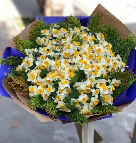 چه قیمتی گل نرگس برای باکس گل در کرج دارد؟