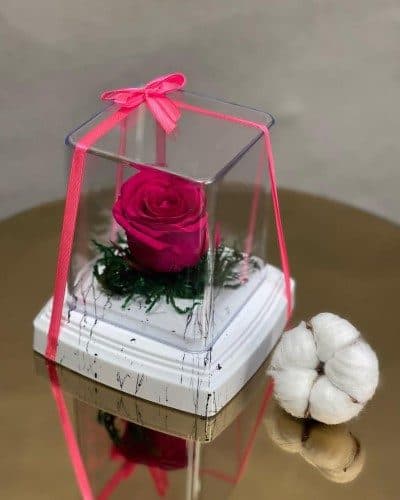 چه کاربردهایی برای گل رز جاودان در هدیه فارغالتحصیلی وجود دارد؟