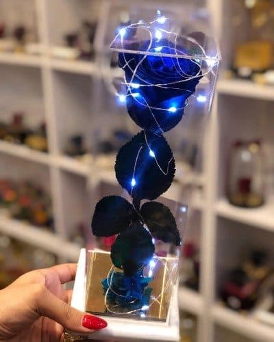 گل رز جاودان برای کادو عذرخواهی چقدر است؟
