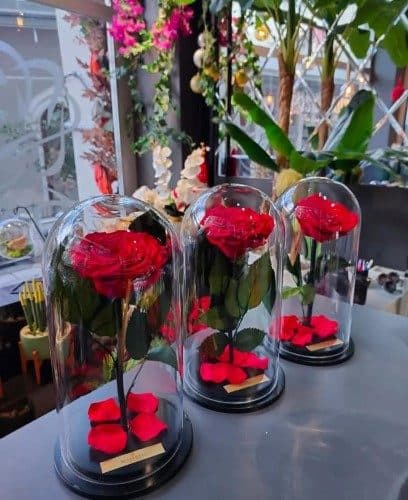 گل رز جاودان برای کادو سالگرد دوستی چقدر است؟