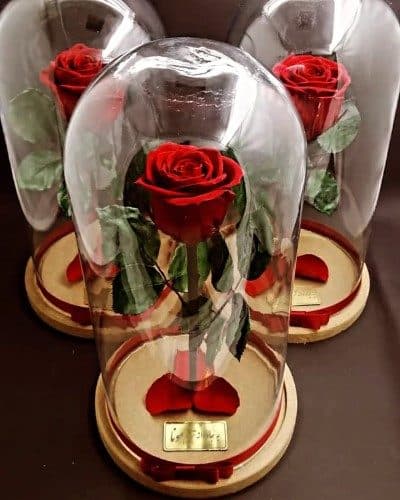 گل رز جاودان برای هدیه به شوهر چقدر است؟