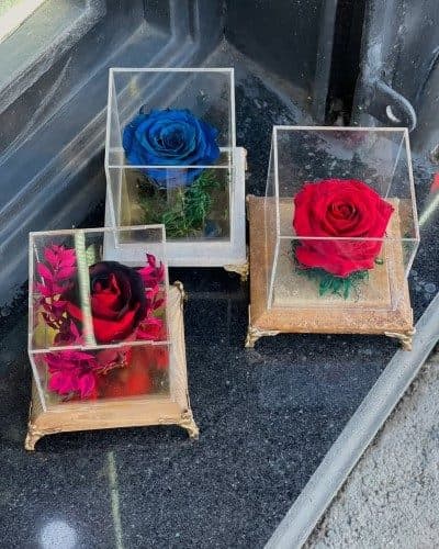 چه مدل گل رز جاودان برای کادو تولد مناسب است؟
