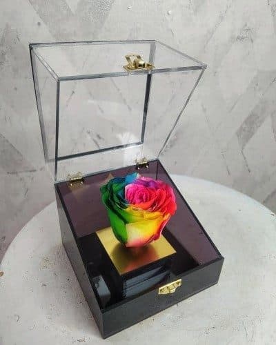 گل رز جاودان برای کادو روز زن چه ویژگی‌هایی دارد؟
