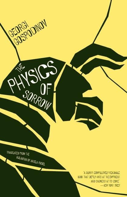 کتاب The Physics of Sorrow (فیزیک اندوه) نسخه انگلیسی PDF | گئورگی گاسپودینوف