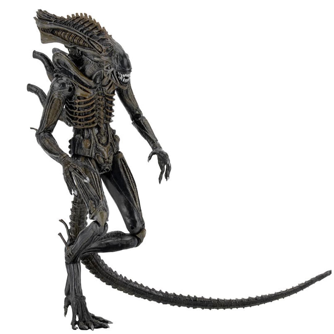 اکشن فیگور نکا مدل Alien Xenomorph 7