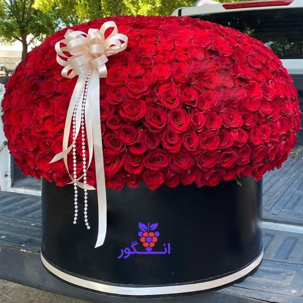 باکس گل رز قرمز بزرگ لاکچری 700 شاخه گرد