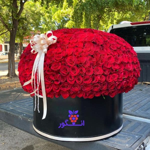 باکس گل رز قرمز بزرگ لاکچری 700 شاخه گرد — تصویر ۲