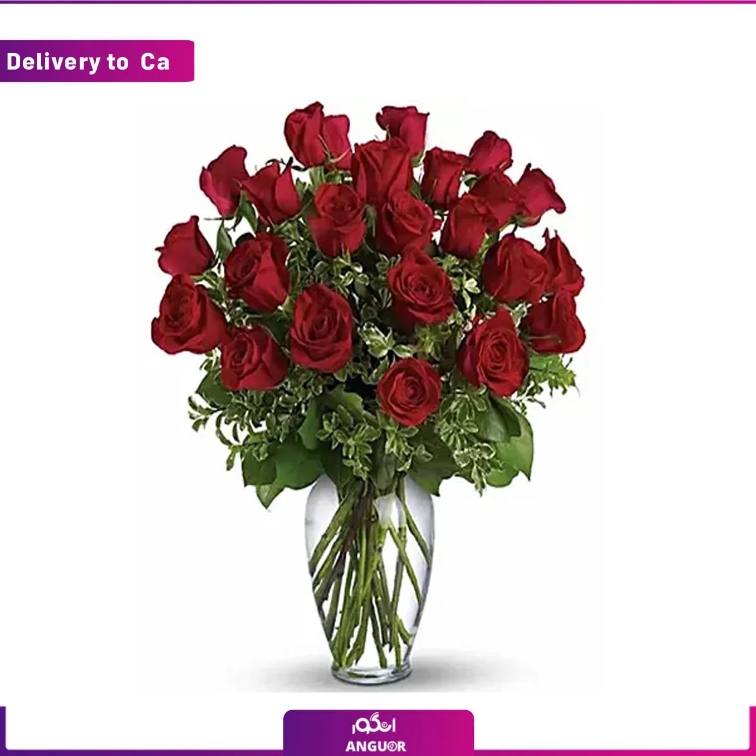 دسته گل رز سرخ 24 عددی (ارسال گل به کانادا )
