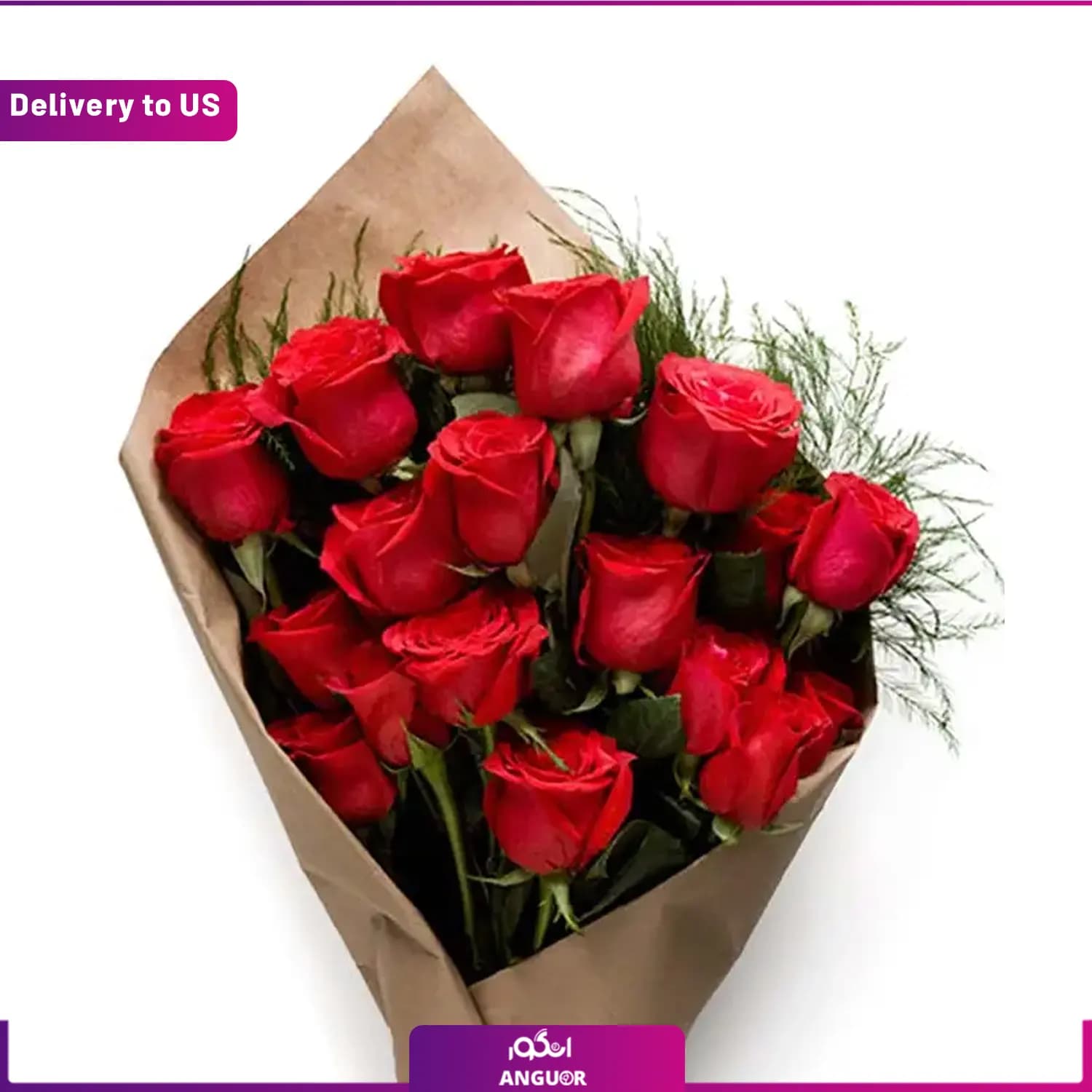 (Delivery to USA) Pure Romance