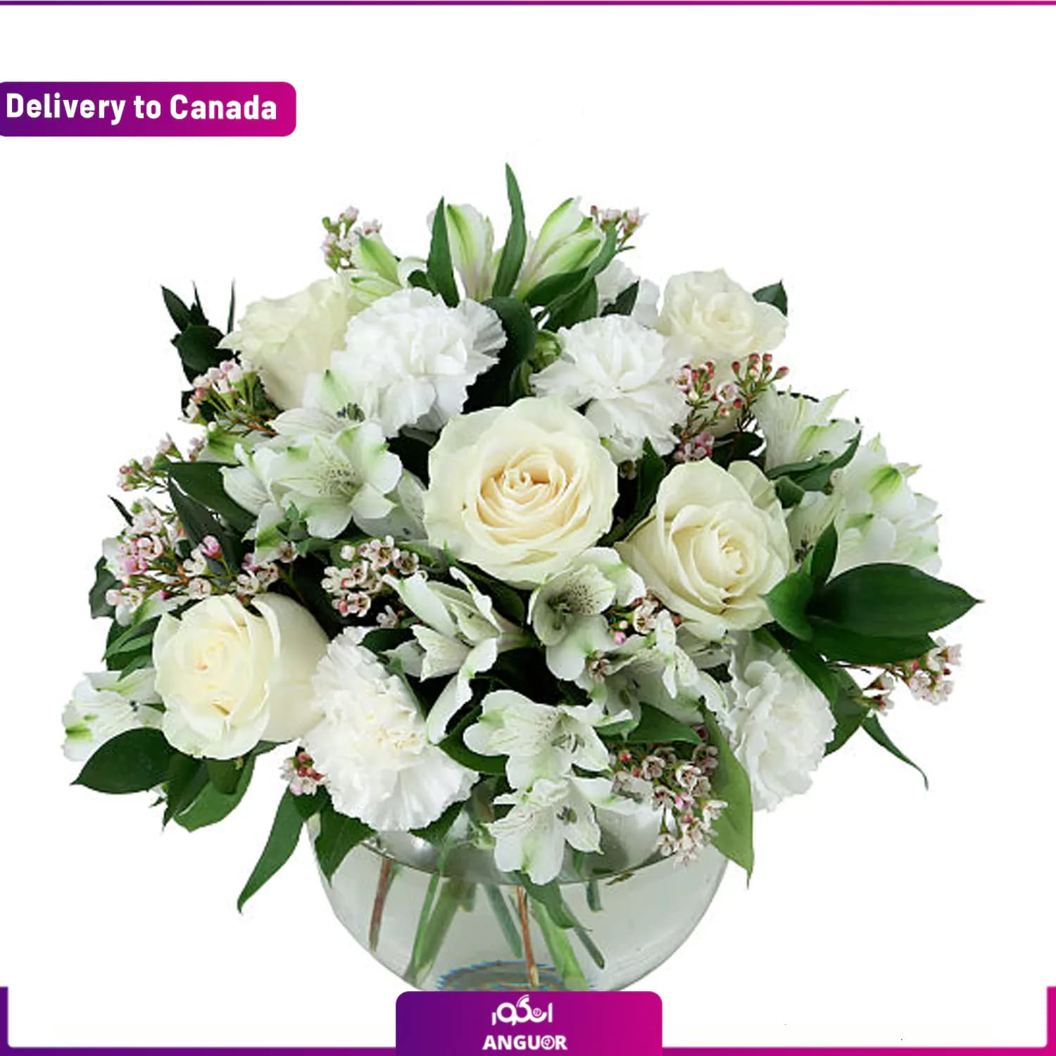 دسته گل همدردی (ارسال گل به کانادا)