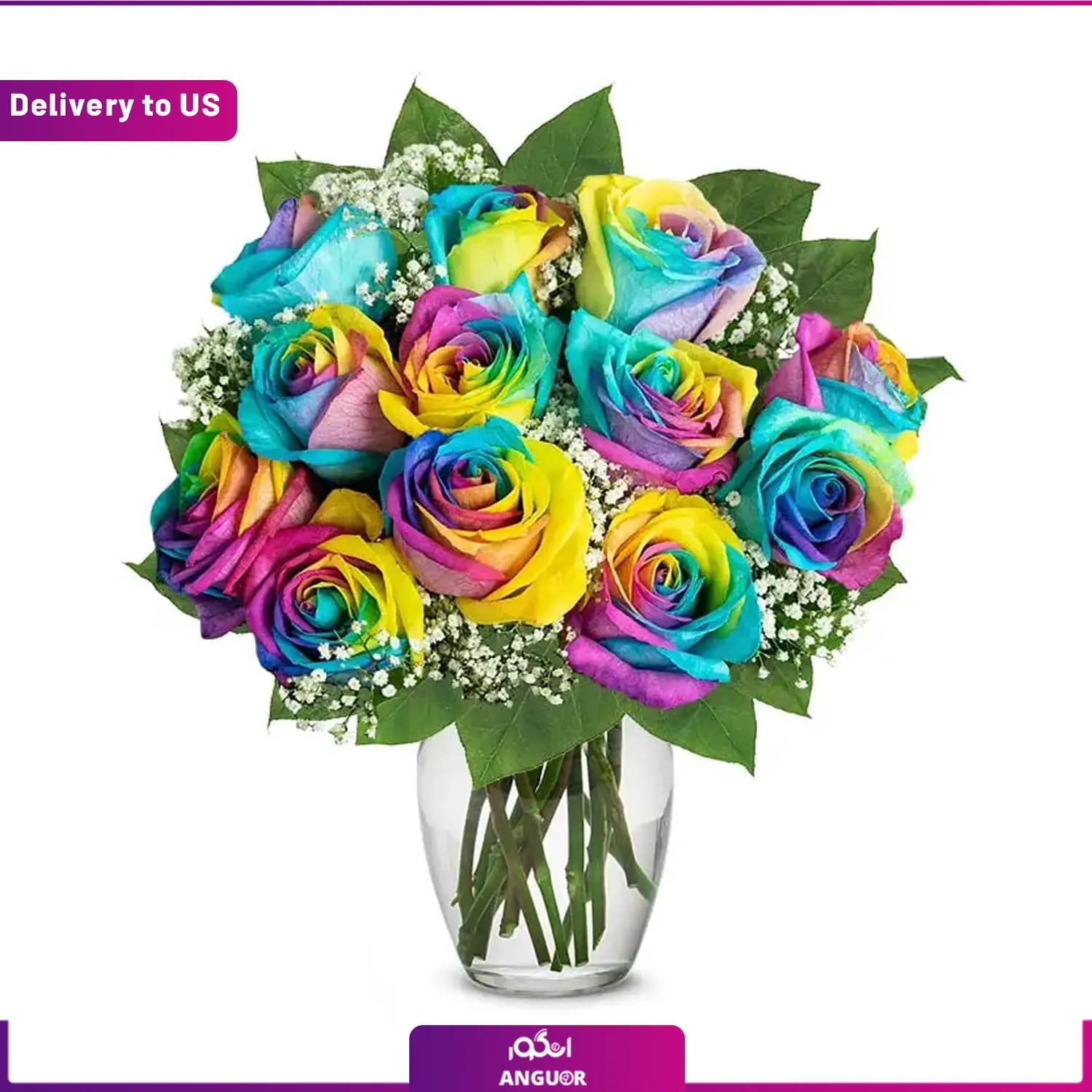 (Delivery to USA) One Dozen Wild Rainbow Roses