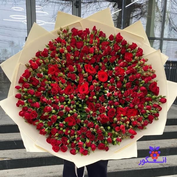 دسته گل رز مینیاتوری قرمز (300 شاخه)