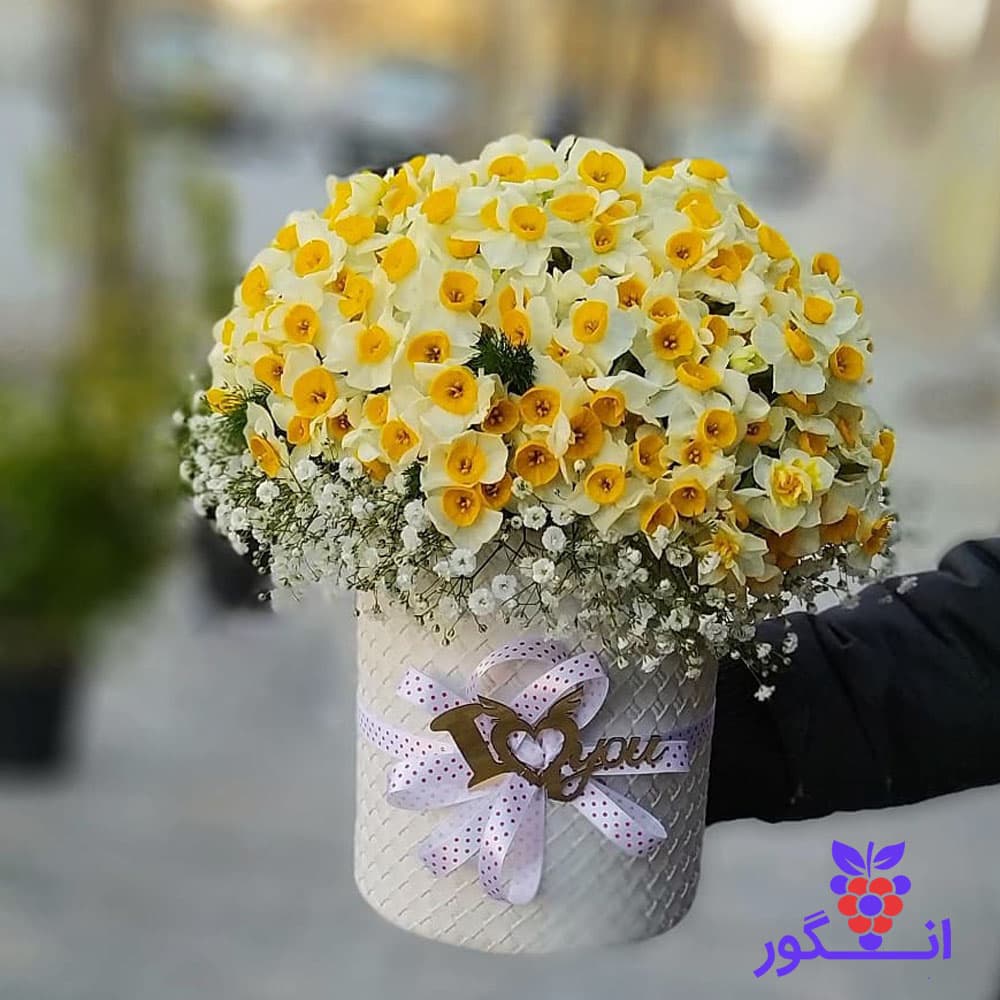باکس گل نرگس 80 شاخه با عروس