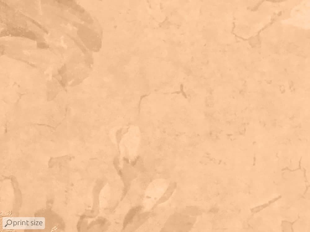 کاغذ دیواری طرح پتینه و خطاطی M10073730 — تصویر ۴