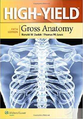 دانلود کتاب High-Yield Gross Anatomy — تصویر ۲