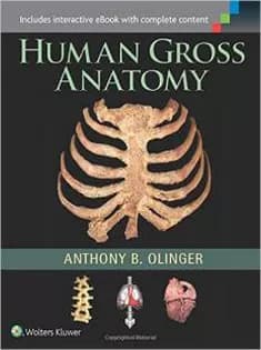 دانلود کتاب Human Gross Anatomy
