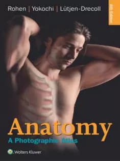 دانلود کتاب Anatomy: A Photographic Atlas