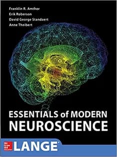 دانلود کتاب Essentials of Modern Neuroscience