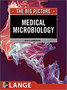 دانلود کتاب Medical Microbiology ,The Big Picture