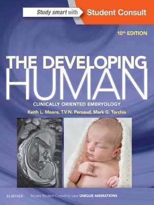 دانلود کتاب The Developing Human: Clinically Oriented Embryology — تصویر ۳