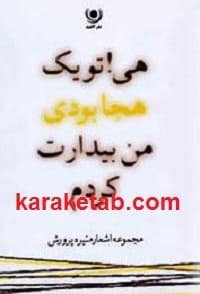 هی تو یک هجا بودی من بیدارت کردم