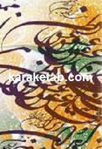 ارغنون حقیقت