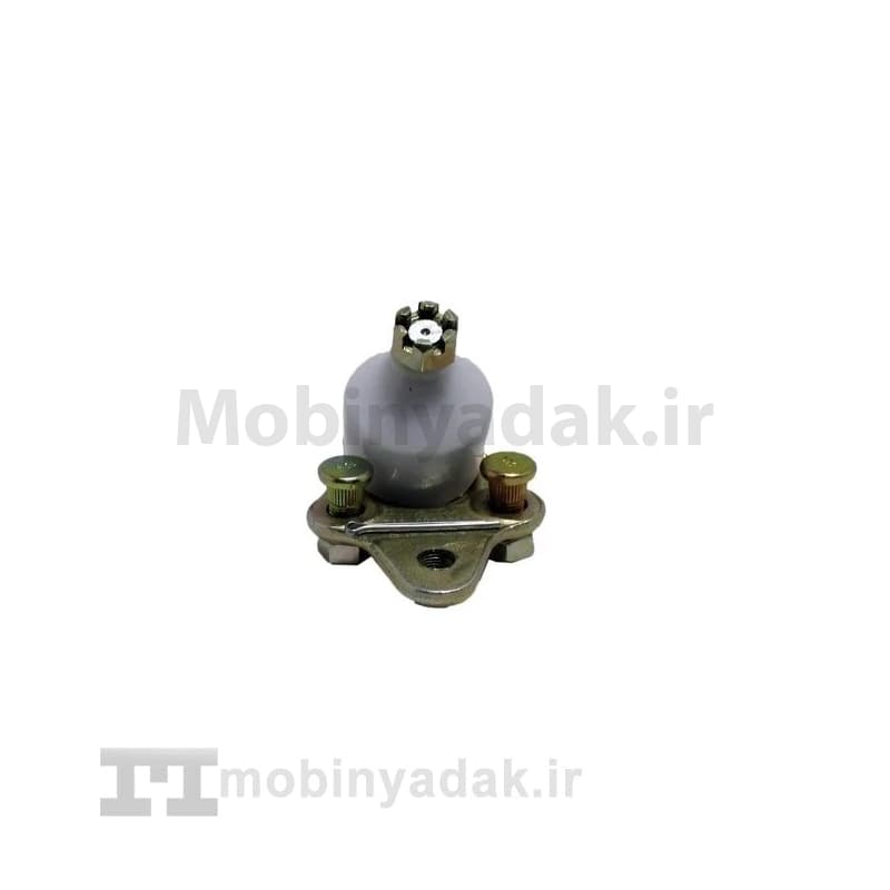 سیبک طبق جیلی امگرند 7