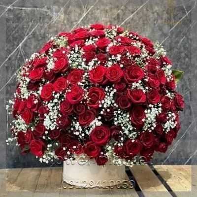 گلفروشی نزدیک هروی دندانپزشکی شبانه روزی
