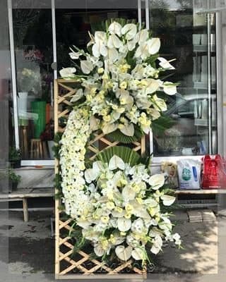 گلفروشی نزدیک کافه وزرا