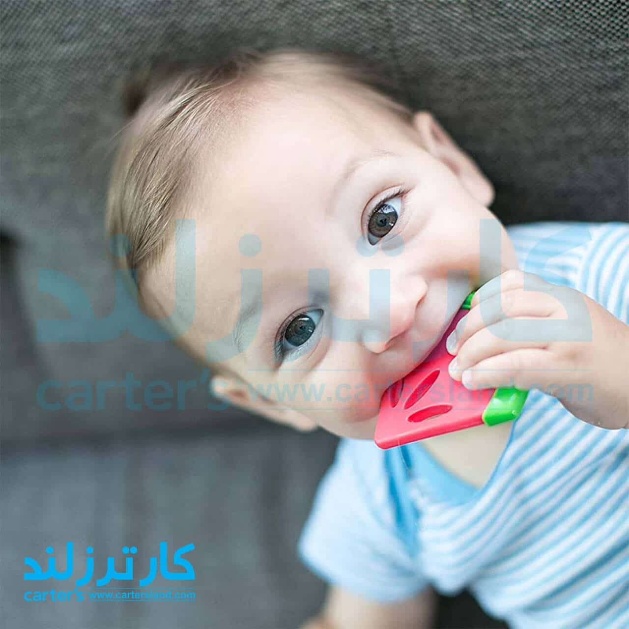 دندانگیر طرح هندوانه دکتر براون — تصویر ۲