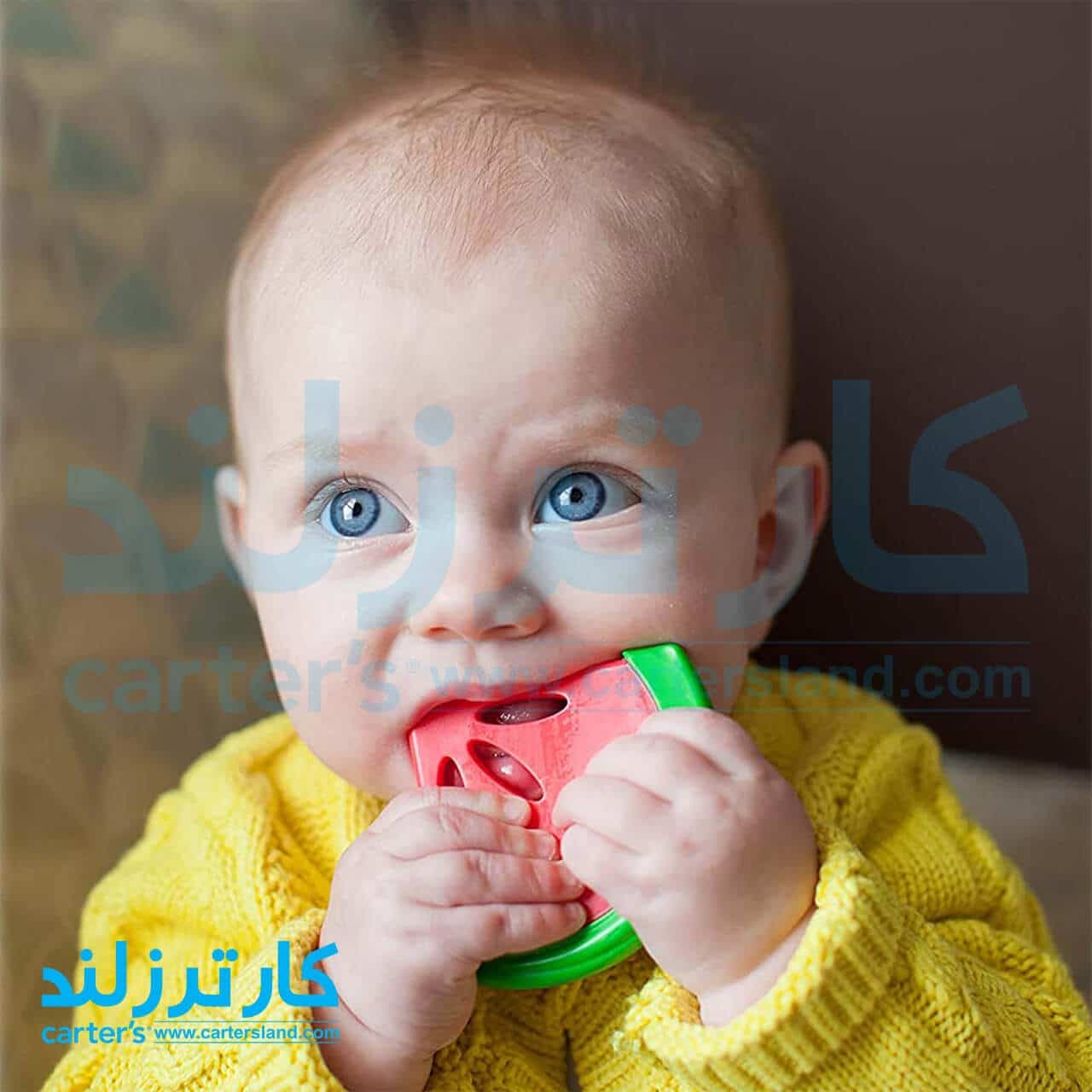 دندانگیر طرح هندوانه دکتر براون — تصویر ۳