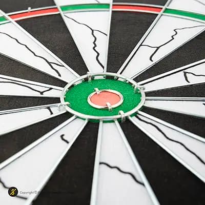 تخته دارت سوزنی 18 اینچ PS-18012 میله ای پرو اسپرتز | مشکی — تصویر ۷