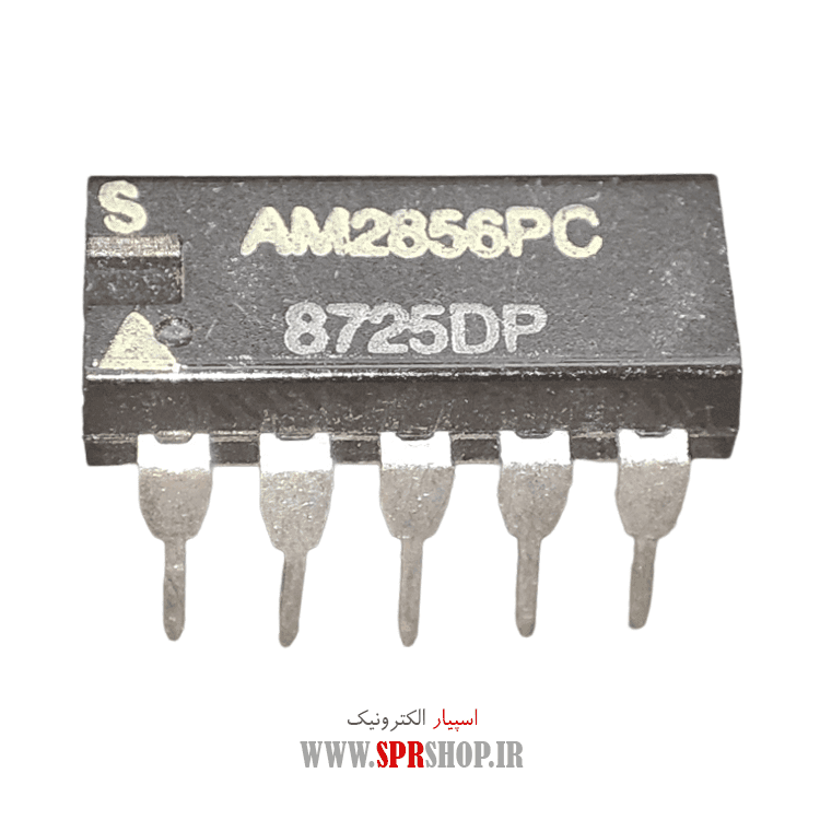 IC AM 2856