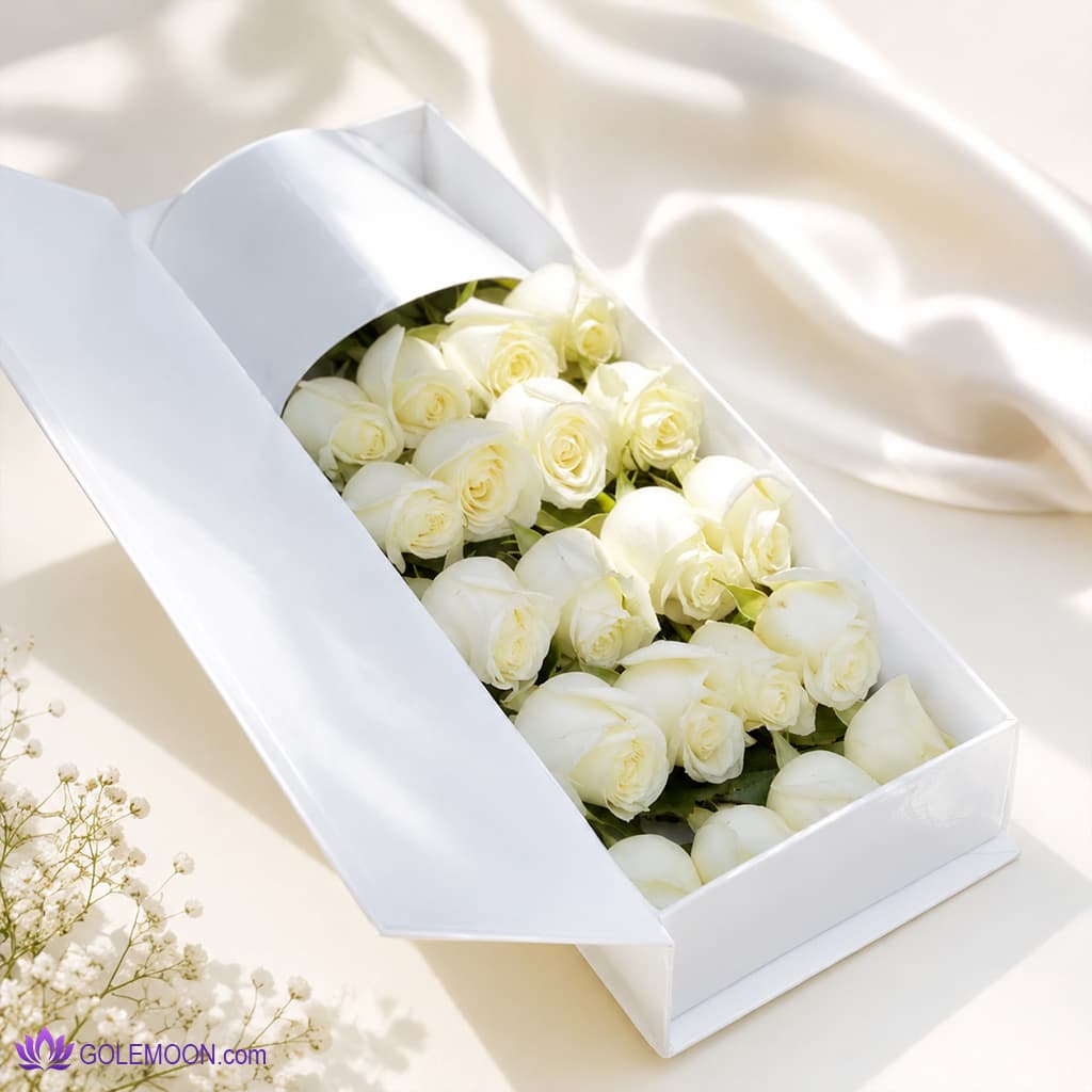 باکس گل رز سفید مایا