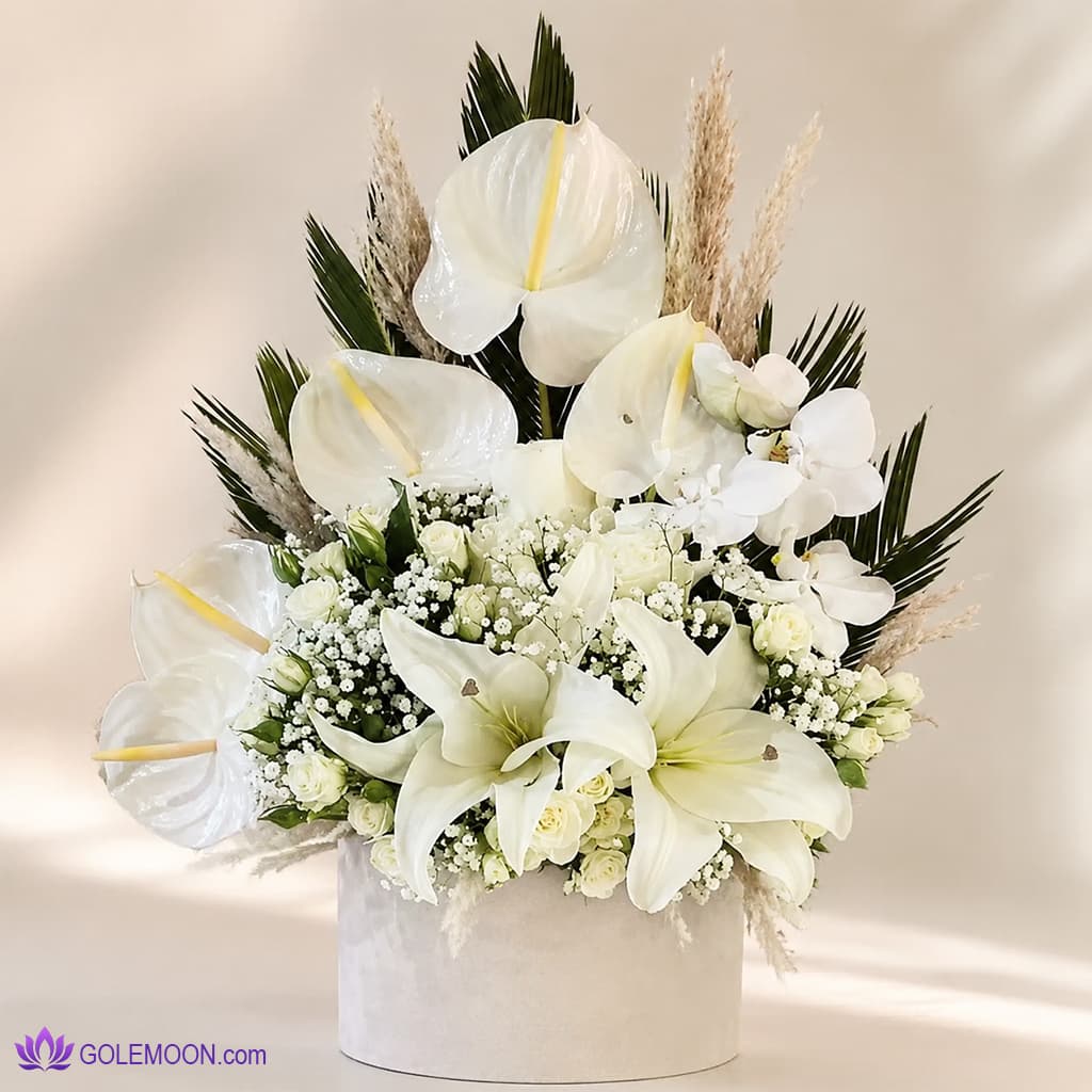 باکس گل سفید روسی