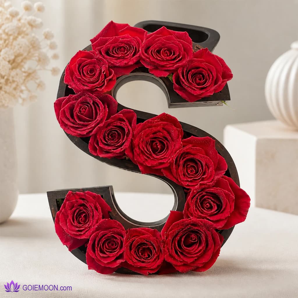 باکی گل حرف S
