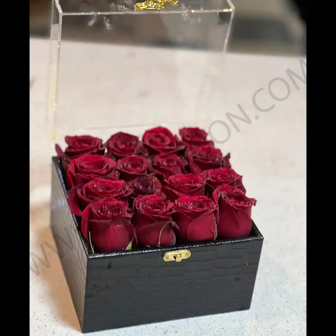 باکس گل باکس آرنیکا — تصویر ۲